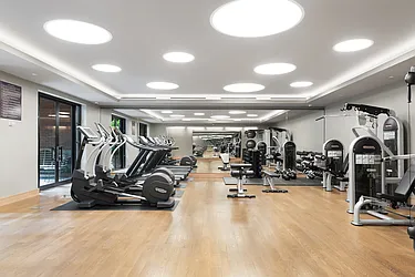 Rented by Platinvm Property Group New York