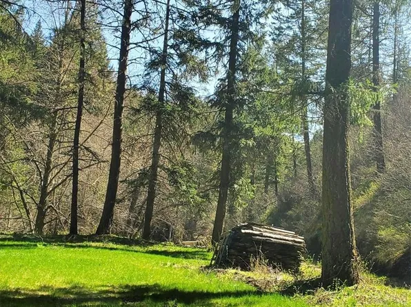 6831 S Fork Coppei Road, Dixie, WA 99329