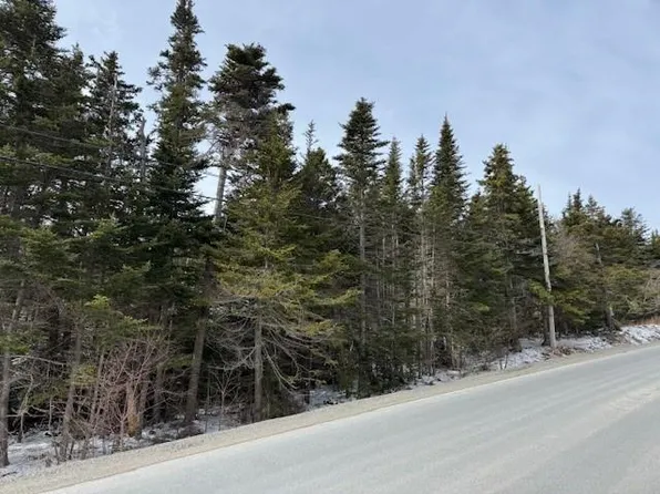 0 Saddle Hill, Carbonear, NL A1Y1A2