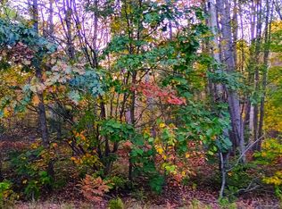 Rivers Terrace Rd, Gladwin, MI 48624