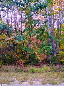 Rivers Terrace Rd, Gladwin, MI, 48624