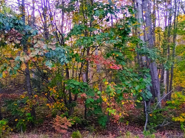 Rivers Terrace Rd, Gladwin, MI 48624