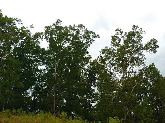3rd image of 16158 Belford Dr