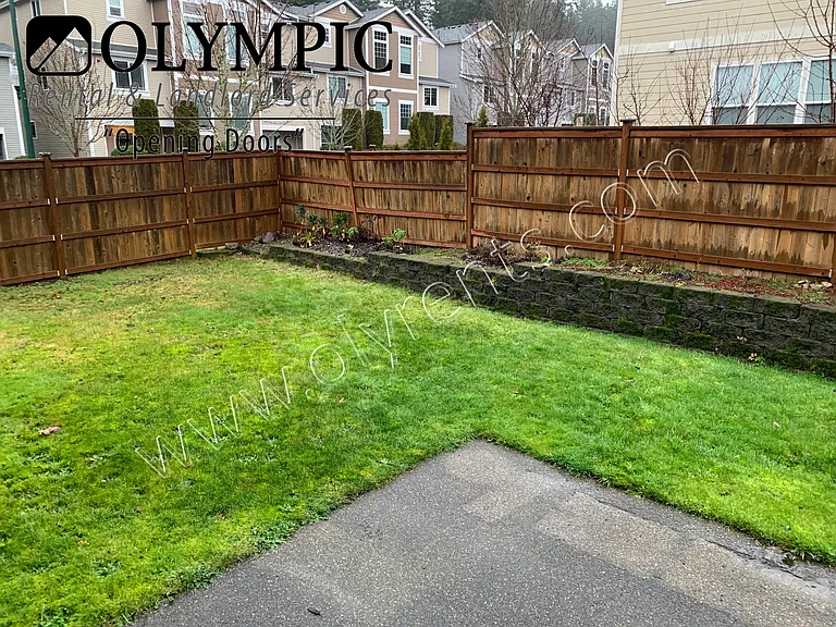 Backyard 1 of 2