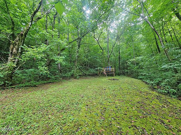 2nd image of 890 Indian Gap Rd