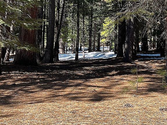 3rd image of 931 Long Iron Dr