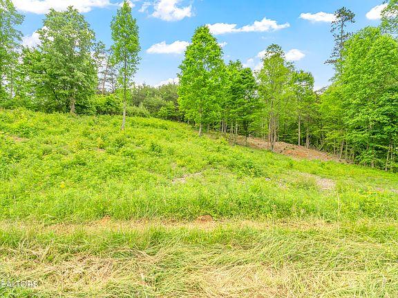 4th image of 7701 Pennyroyal Dr
