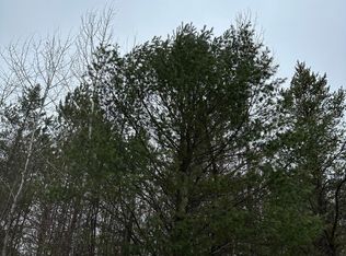 Swamp Lake Rd #4069-26, Tomahawk, WI 54487