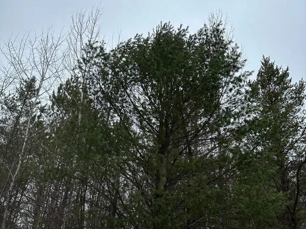 Swamp Lake Rd #4069-26, Tomahawk, WI 54487