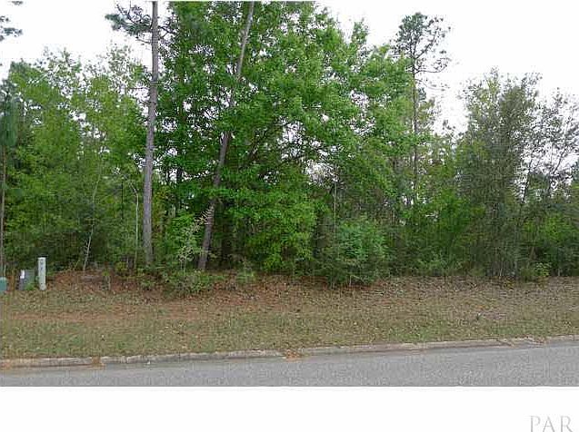 2nd image of 0 Morgan Ridge Dr
