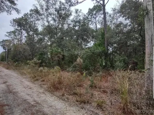 9785 W Watermelon Ln, Crystal River, FL 34428