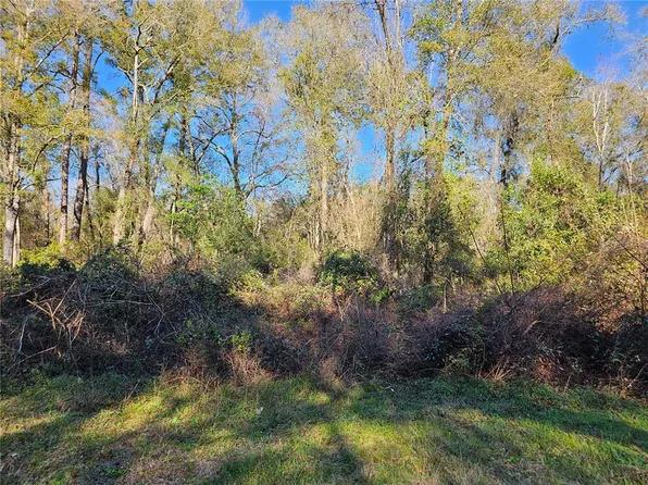 138 Deer Stand Rd #11, Florahome, FL 32140