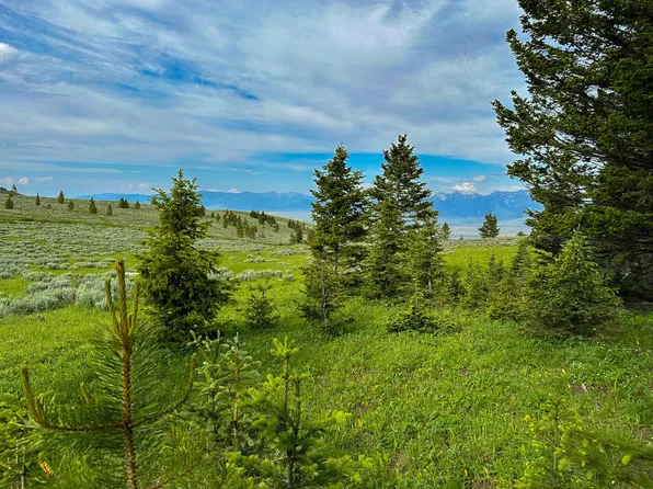 Nhn Boiler Spring Trl, Ennis, MT 59729