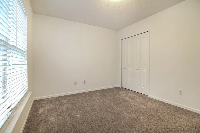 663 Timber Walk Dr — Photo 11