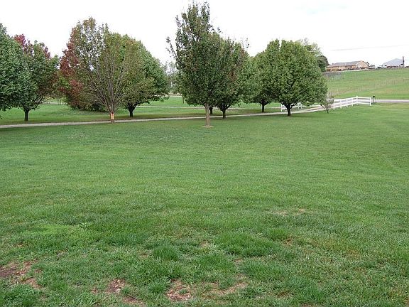Room to add an outbuilding.