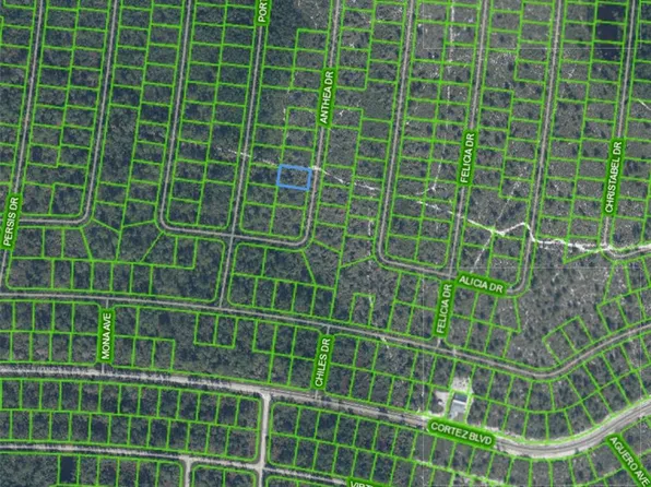 6543 Anthea Dr Lot 54, Sebring, FL 33872