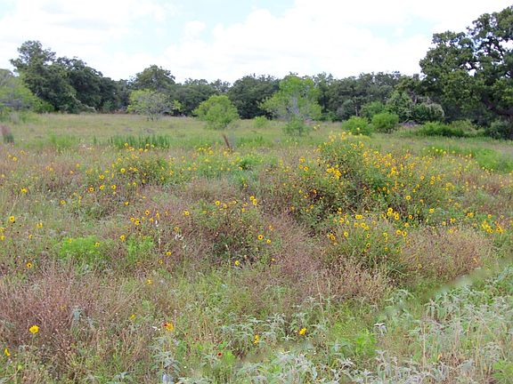 4th image of 127 Champions Blvd Lot 76