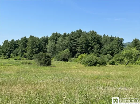 0 Gerry Levant Rd #13, Falconer, NY 14733