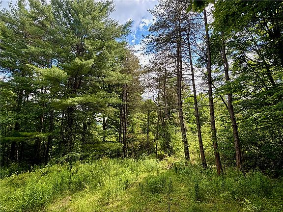 5th image of 0 Ellis Hollow Rd