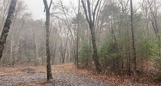 2nd image of 603 Epperson Rd