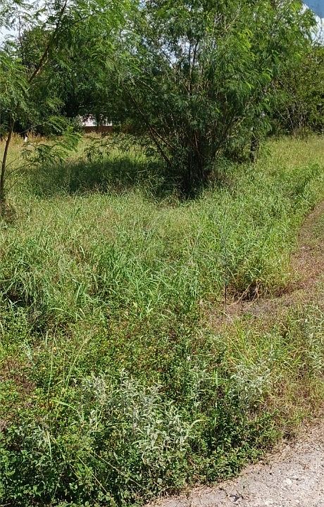 2nd image of 612 N South St