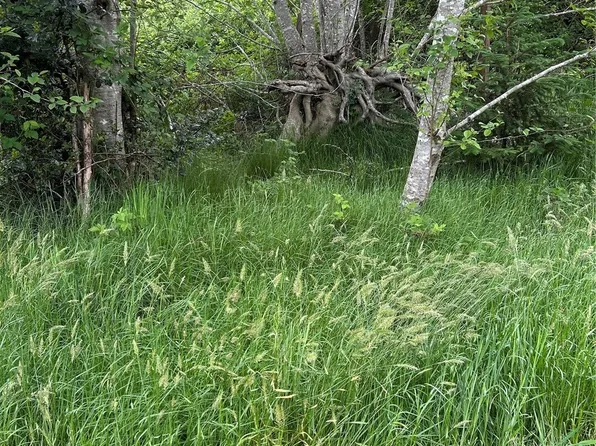 14 xxx   33 Place E, Seaview, WA 98644