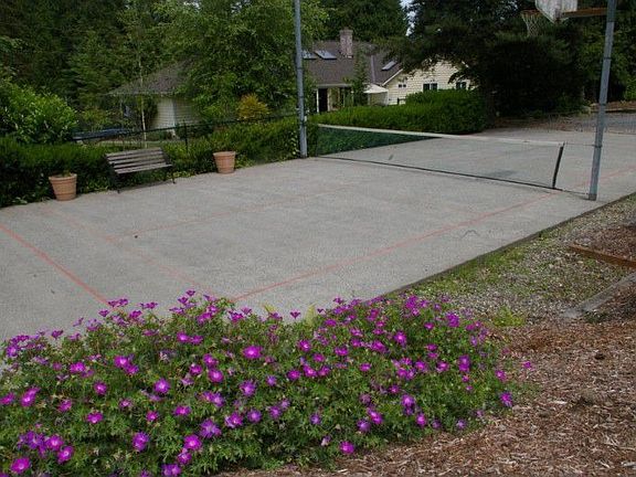 Lit Sports Court!. Enjoy playing basketball - Pickle Ball- and more.