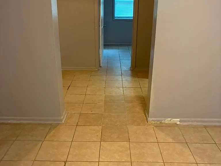 8306 Roanoke Ave #2 — Photo 6
