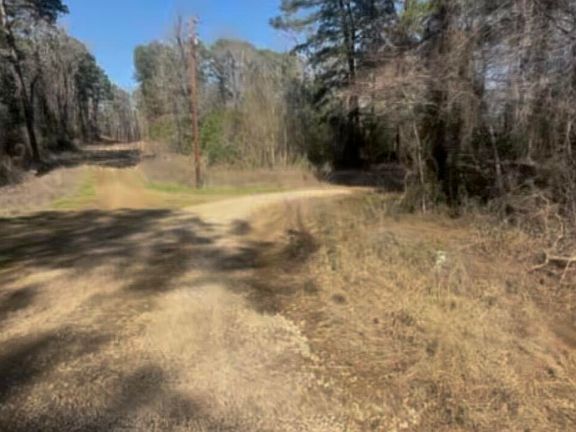 3rd image of 2 Soileau Dr