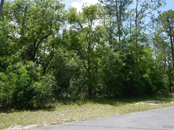 10072 N Conrad Point, Citrus Springs, FL 34434