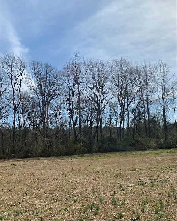2nd image of 23710 Us Highway 301 N
