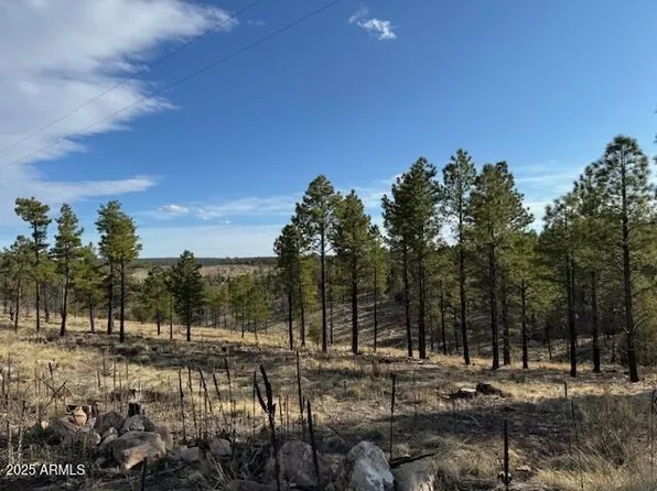 806 EAGLE VIEW Drive #29, Happy Jack, AZ 86024