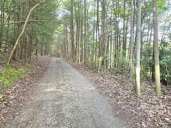 3rd image of 228 Rod & Gun Club Rd