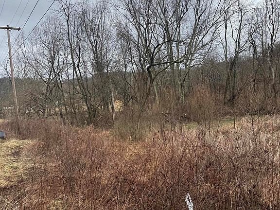 4th image of Sunshine Rd