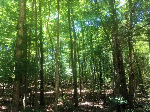 Mount View Church Rd Lot 8A, Moncure, NC 27559