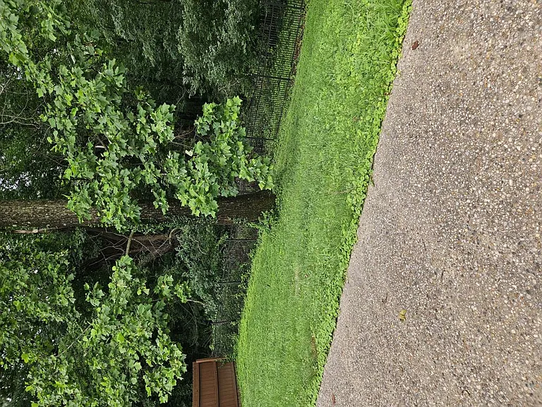 305 Dalton Ct — Photo 19