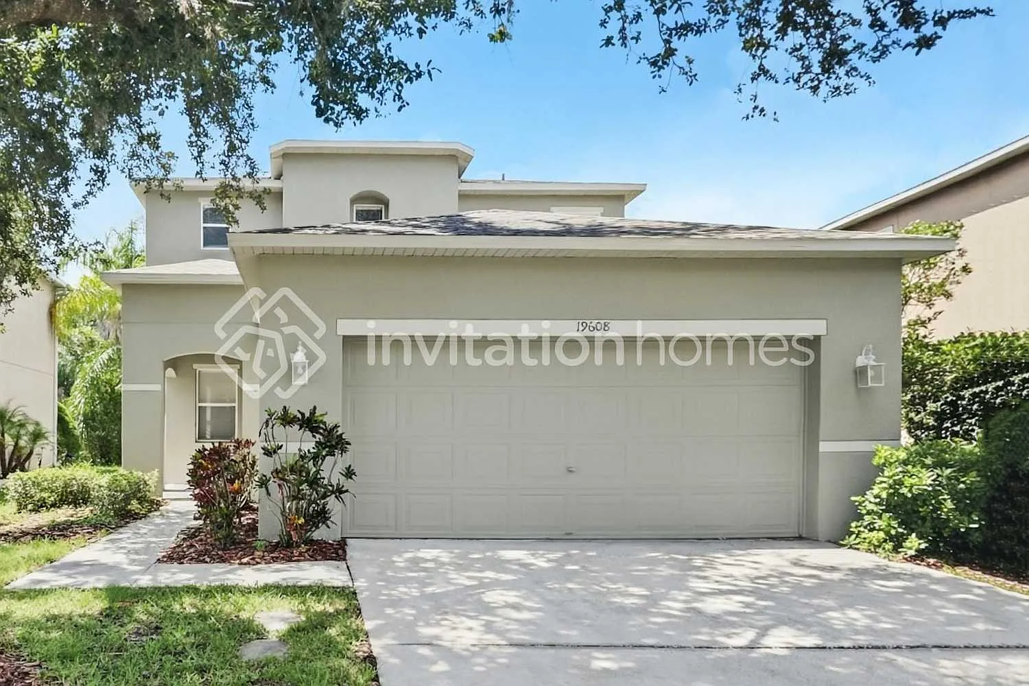 19608 Timberbluff Dr Land O Lakes, FL 34638 — Photo 1