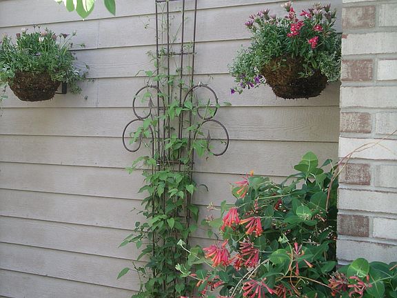 Front Path