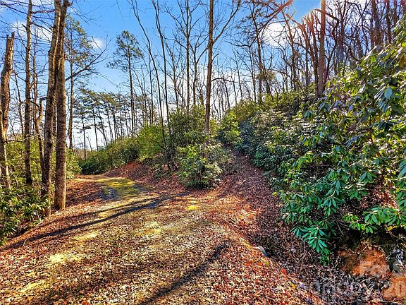 2nd image of 301 Black Pine Dr