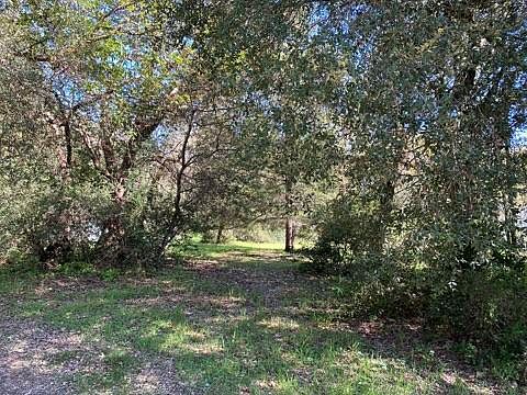 4th image of 248 Shady Ln