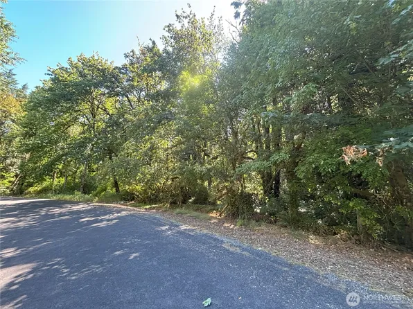 0 Hill Creek Road, Castle Rock, WA 98611
