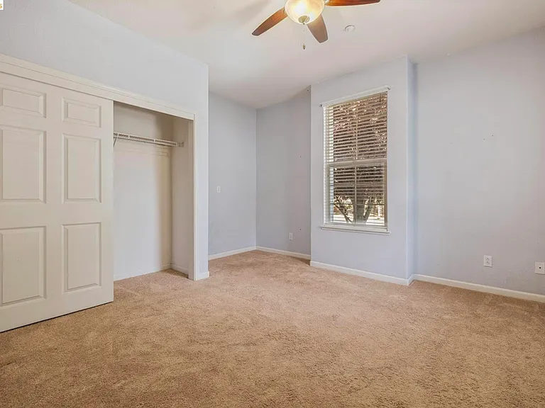 822 Shasta Daisy Dr — Photo 13