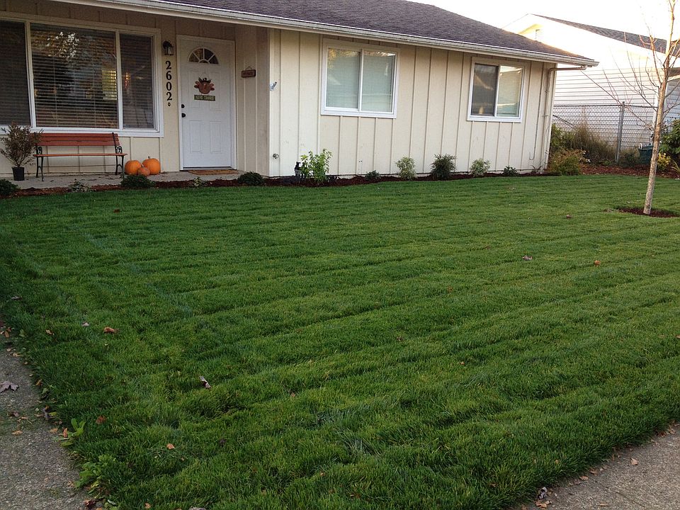 Front yard