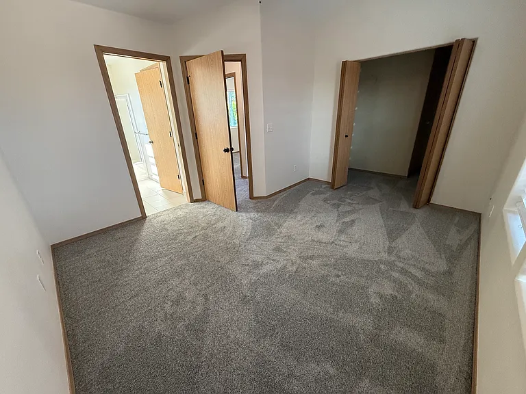 primary bedroom with walk-in closet