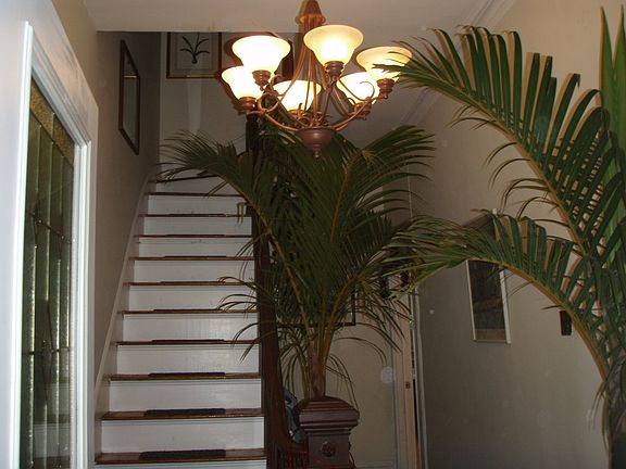 Common Area