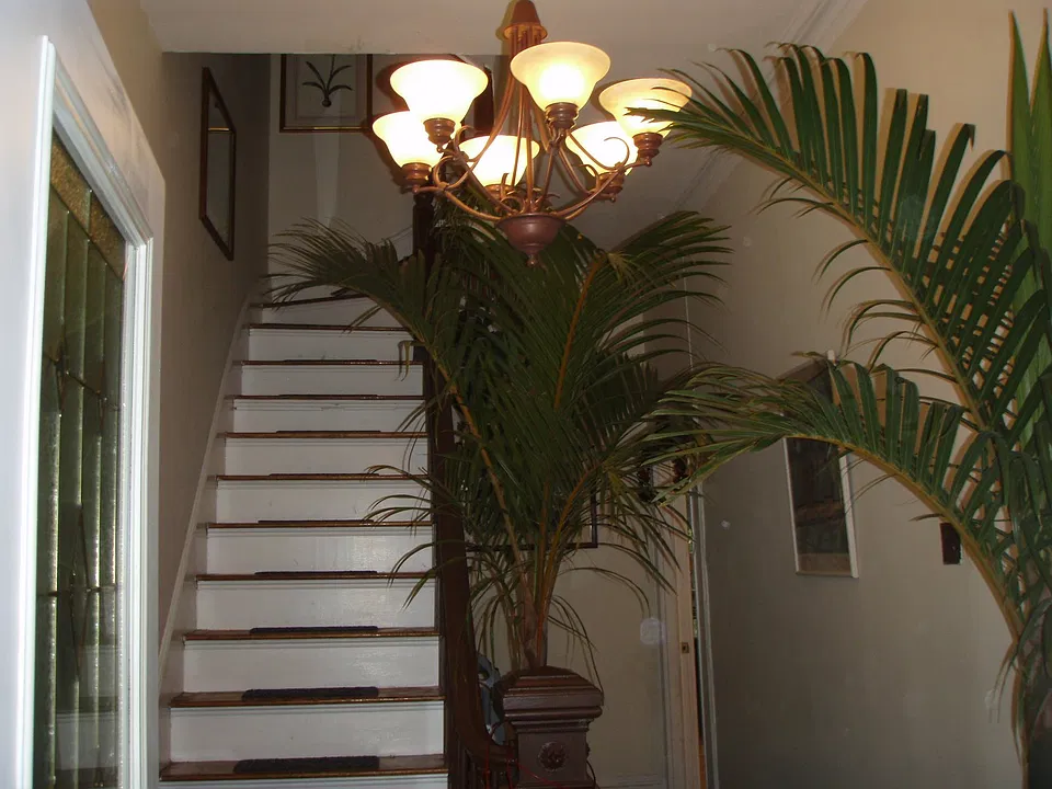 Common Area