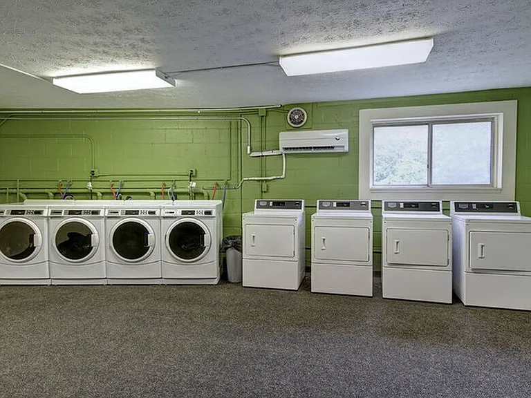 parkside laundry