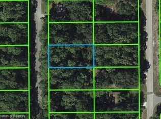 437 Fletcher Ave, Lake Placid, FL 33852