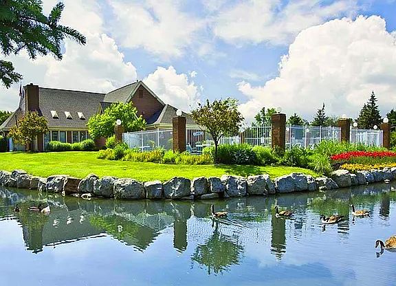 Tranquil Pond