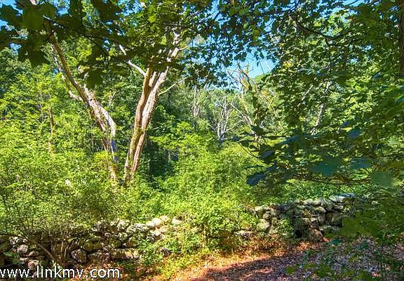 3 acres on Valley Lane, Chilmark.